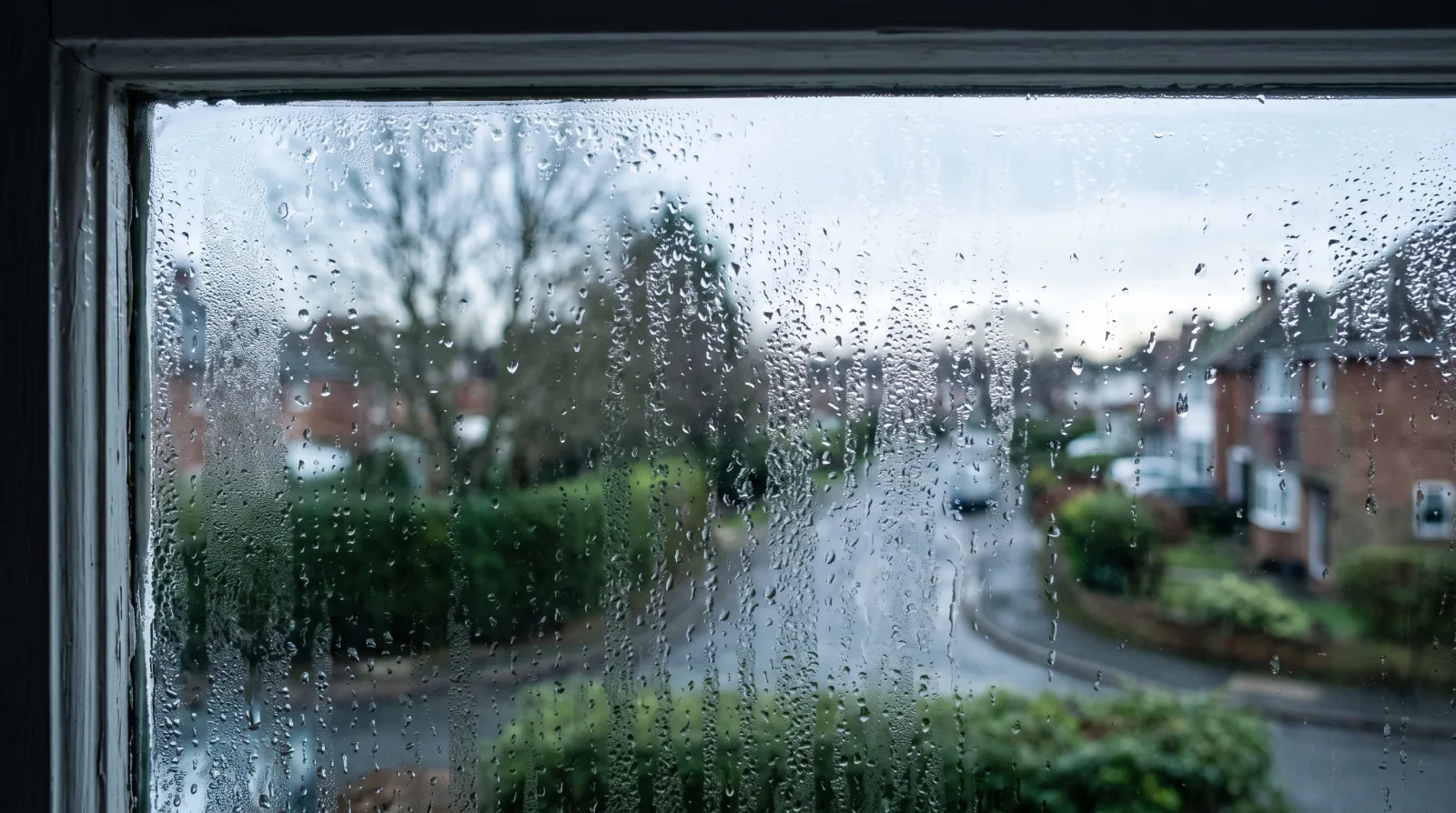 Condensation and Mould in BC Condos: Whose Problem Is It?
